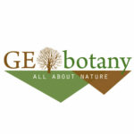 Logo Geobotany